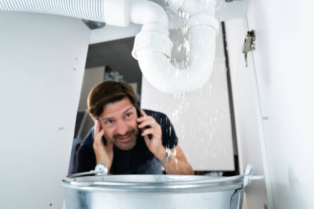 Best Affordable Plumbing Services  in Northville, MI
